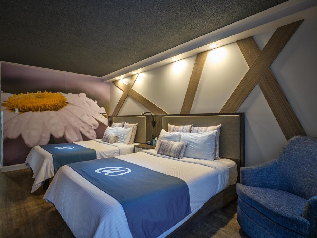 Chambre Classique avec 2 Lits Queen-Size