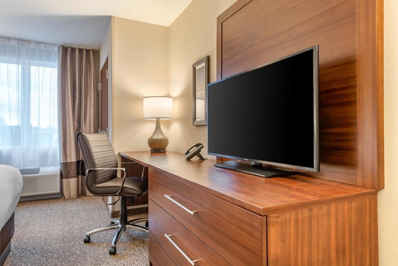 King Suite with Sofa Bed - Non-Smoking