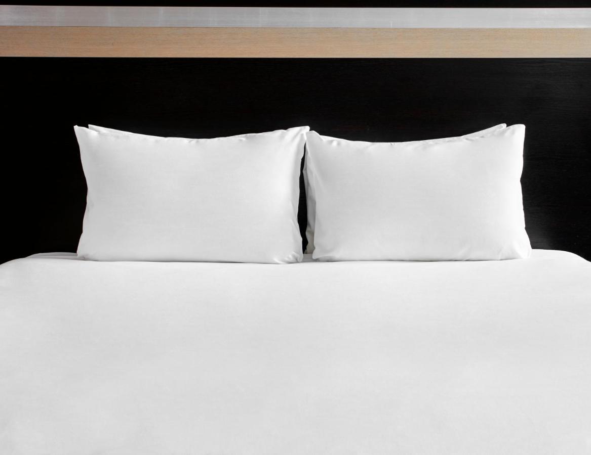 Standard Queen Room Accessible,1742640052:JPEG