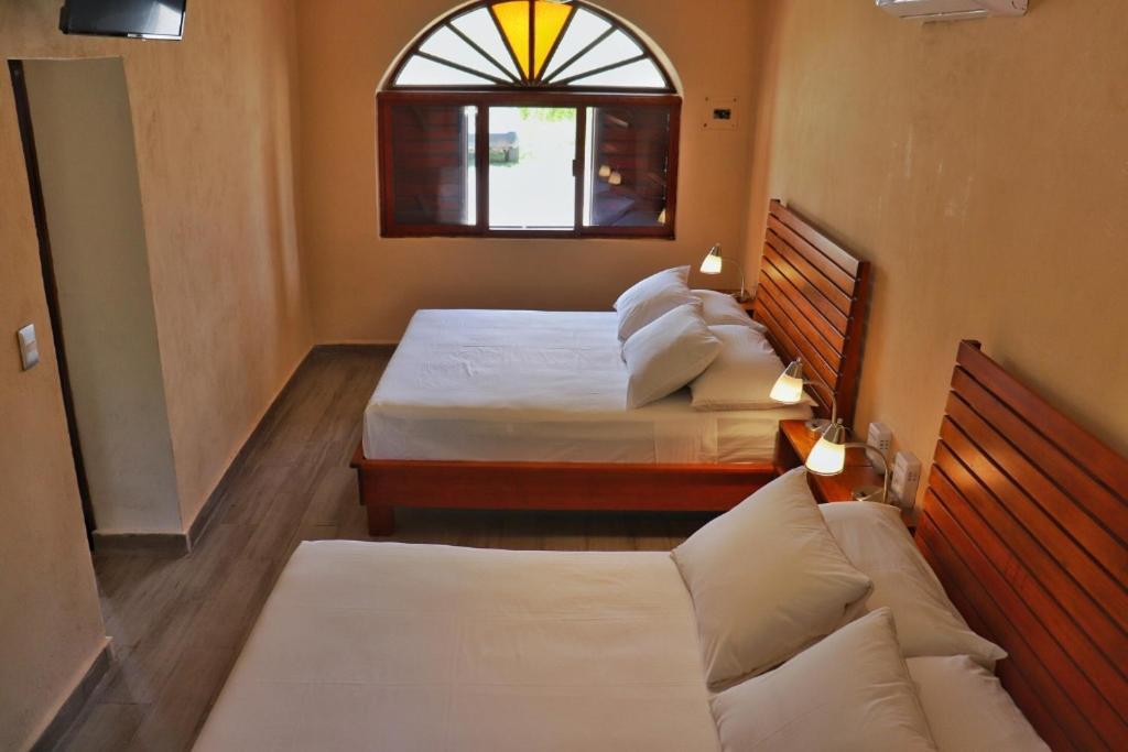 Suite con vistas al jardín