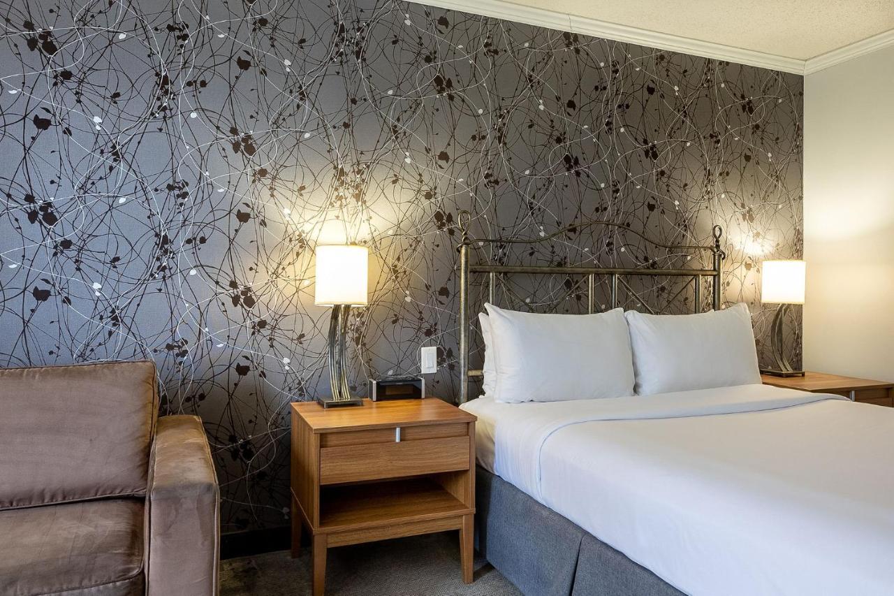 Chambre 1 Lit Queen-Size Confort avec Canapé-Lit - Vue sur Montagne
