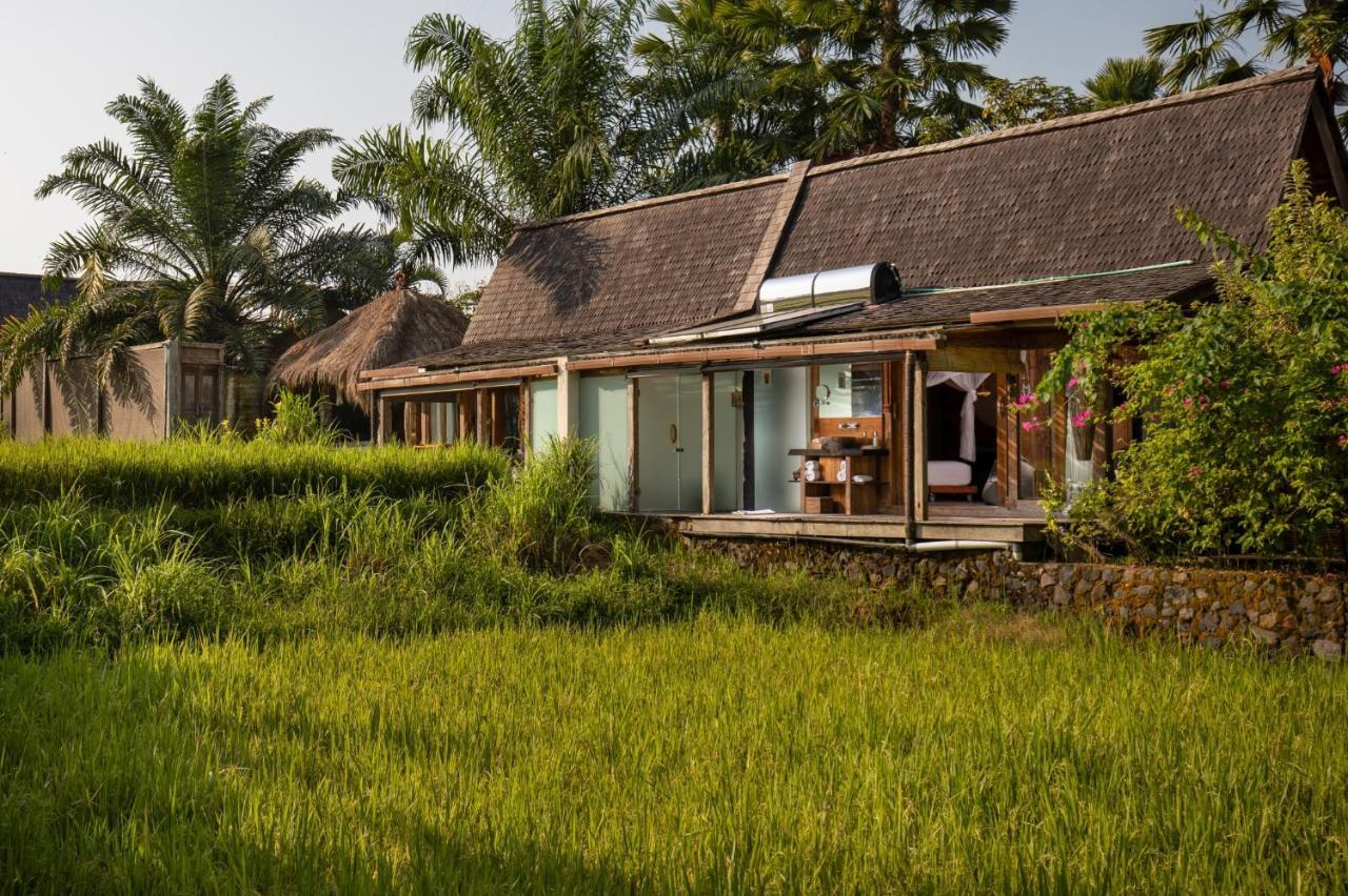Suite met 1 Slaapkamer en Uitzicht op de Rijstvelden - Gratis Voordelen