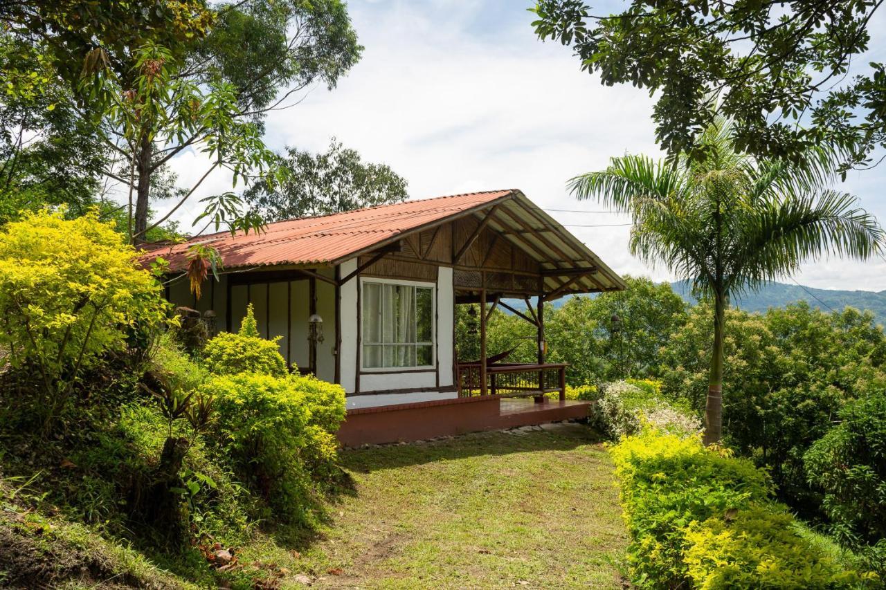 Family Bungalow,1115565213:JPEG