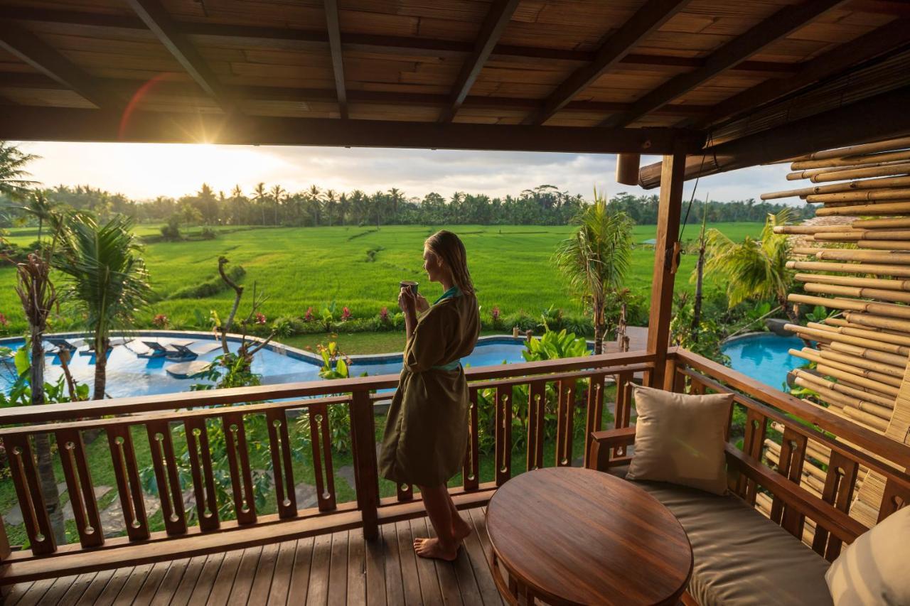Duplex Suite Room  Exclusive Rice Field View