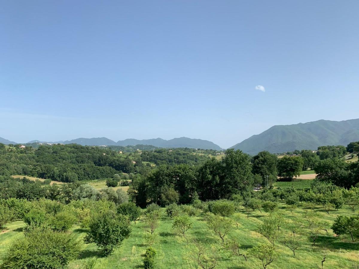 Camera King con Vista Giardino