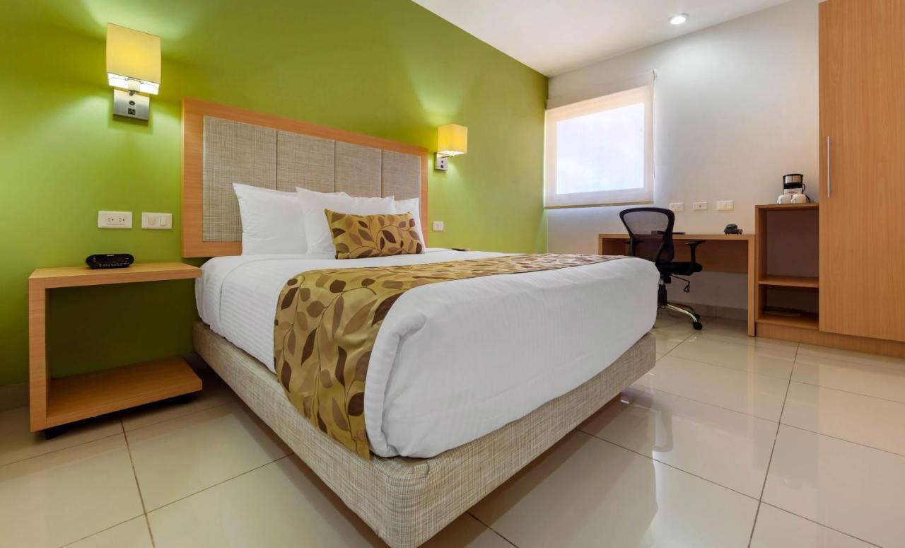 Habitación con cama grande