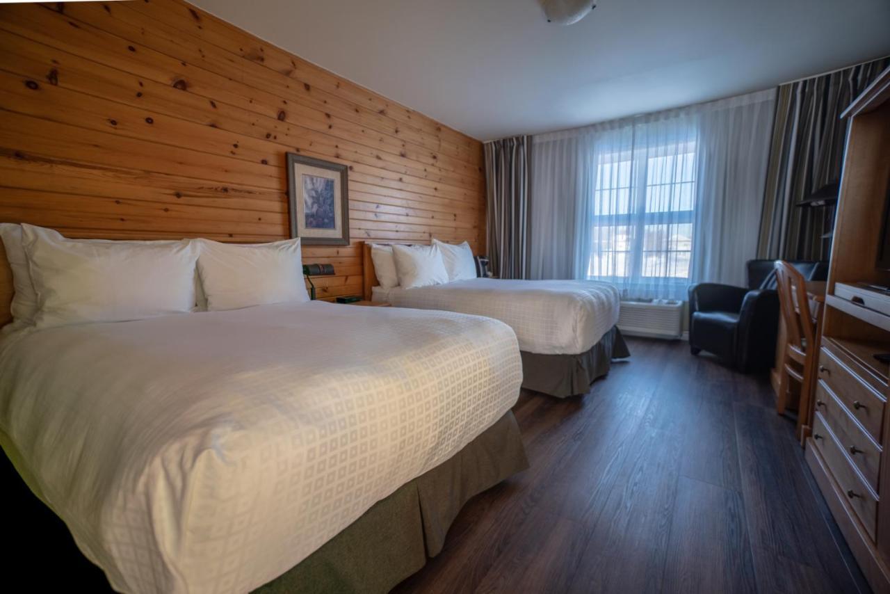 Chambre Standard avec 2 Lits Queen-Size