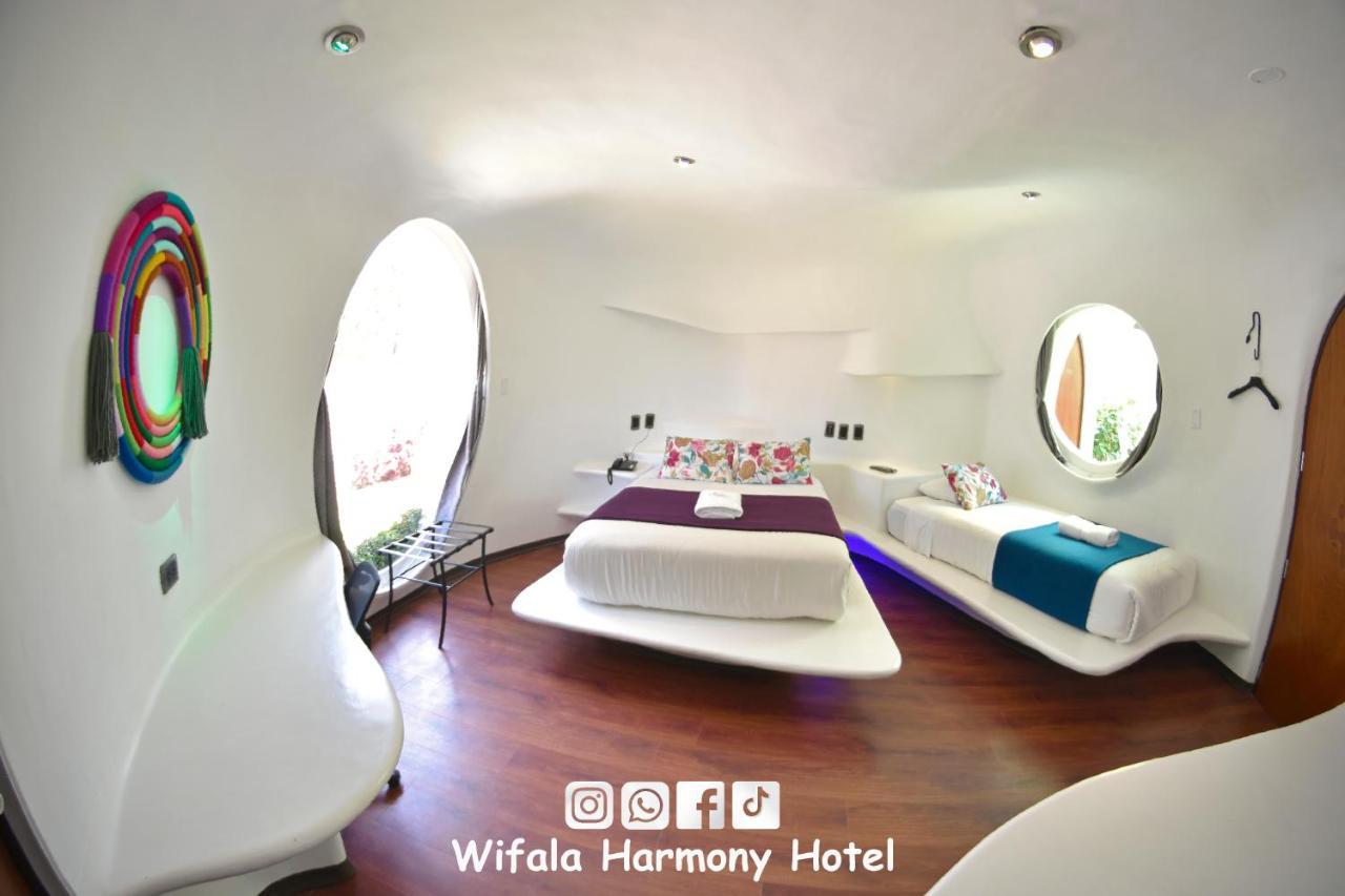 Standard Double Room,1146013477:JPEG