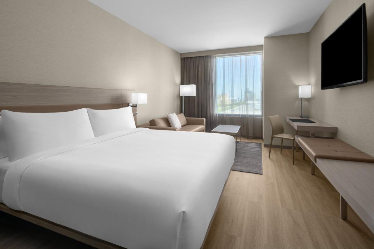 Guest Room with  1 King Bed, Sofa bed