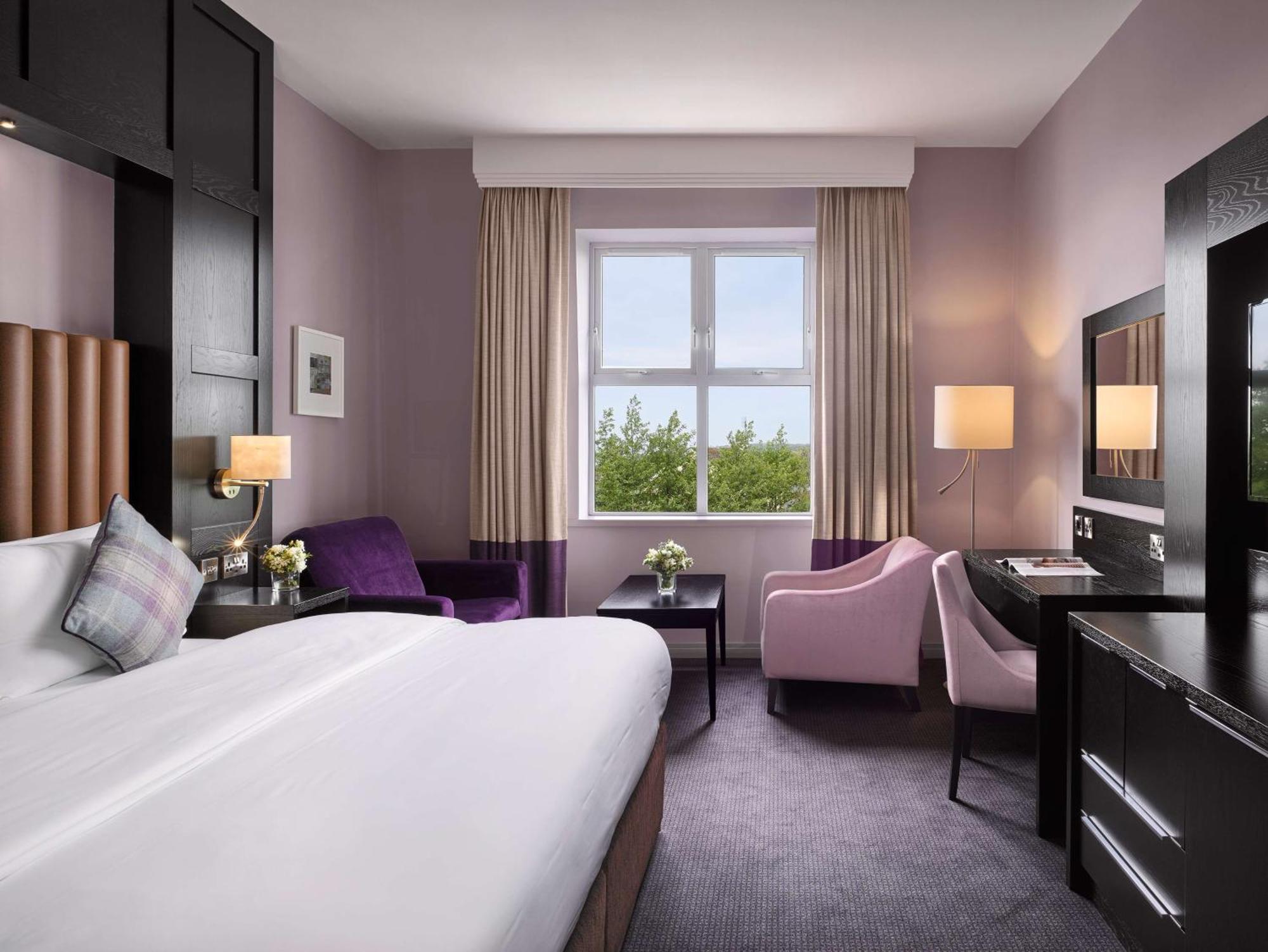 Standard Room Mountain View