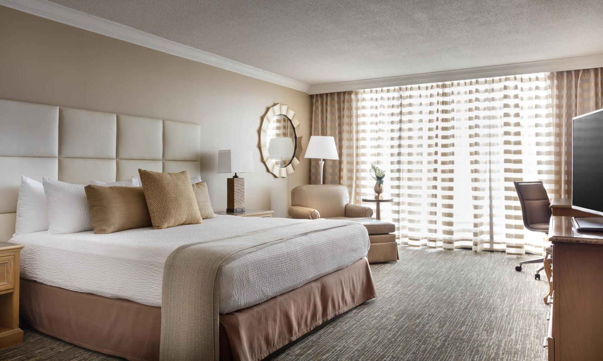VIP King Room,1694551016:JPEG