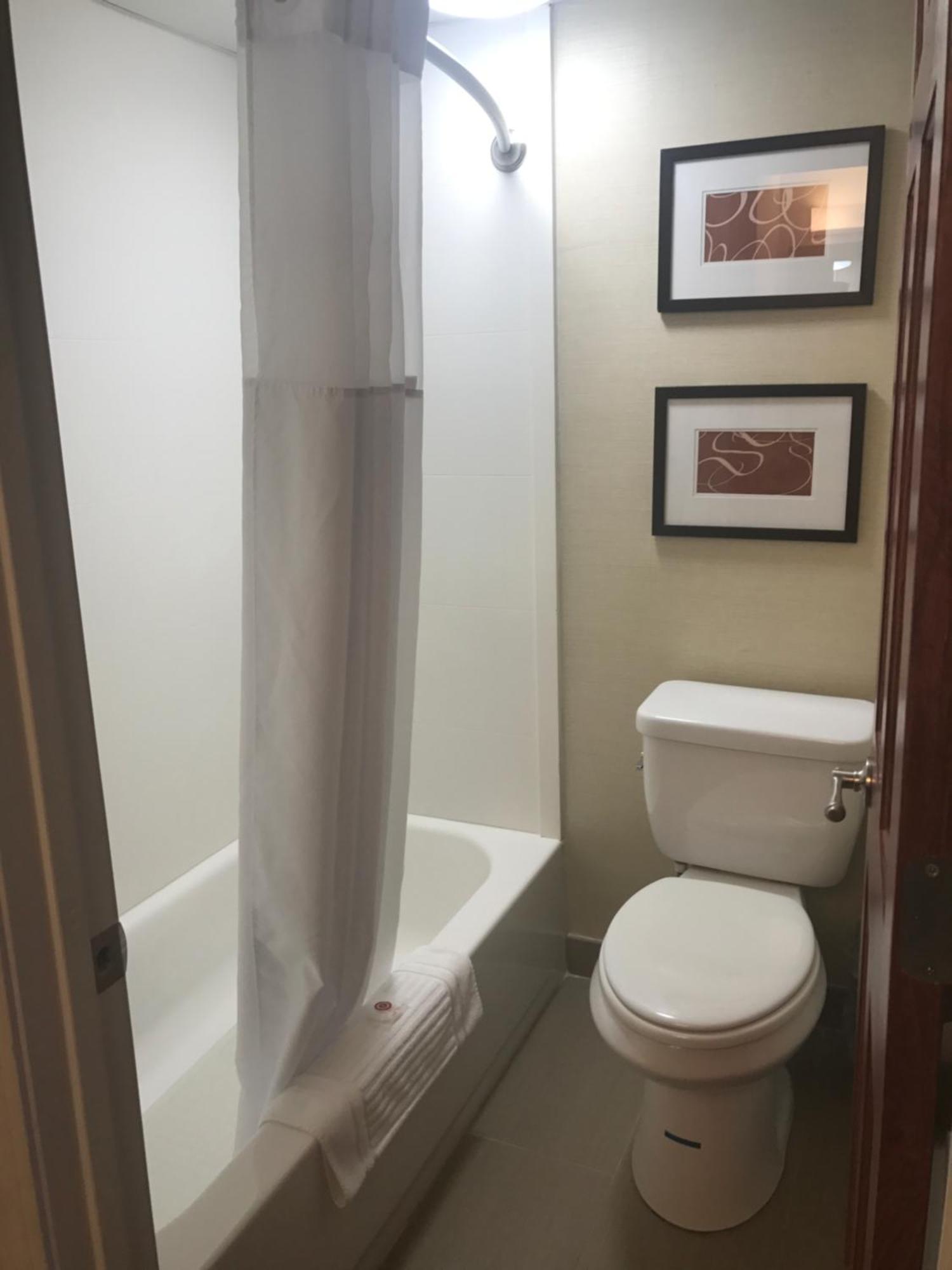 Busine Room with Two Double Beds - Non-Smoking