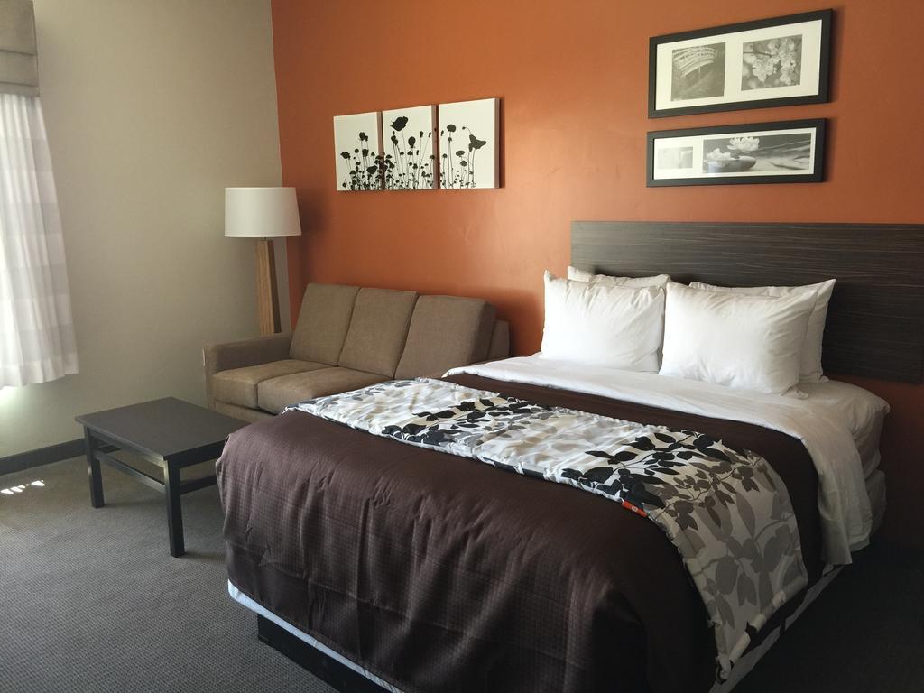 Chambre Lit King-Size avec Canapé-Lit - Non-Fumeurs