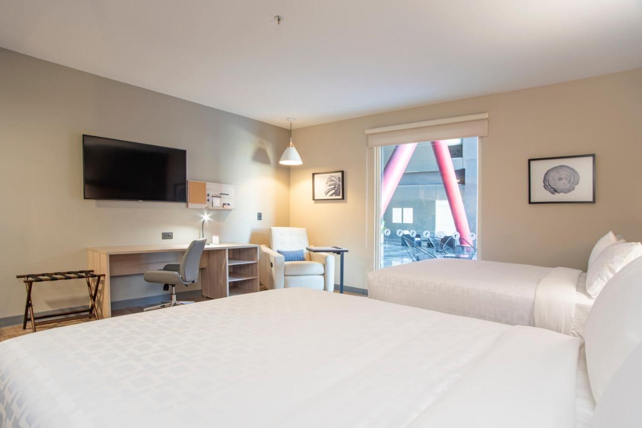 Suite Estudio con 2 camas grandes