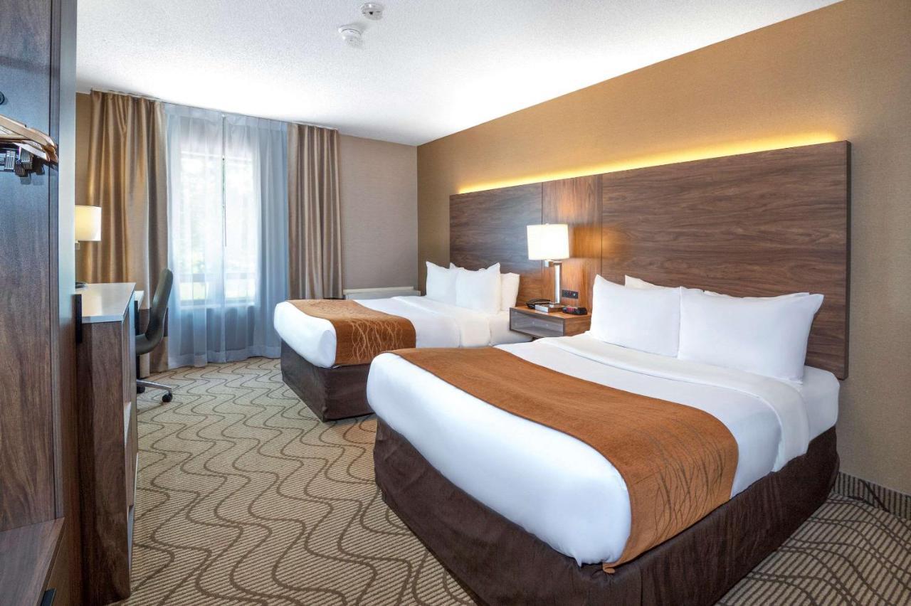 Double Room with Two Double Beds - Upper Floor/Non-Smoking