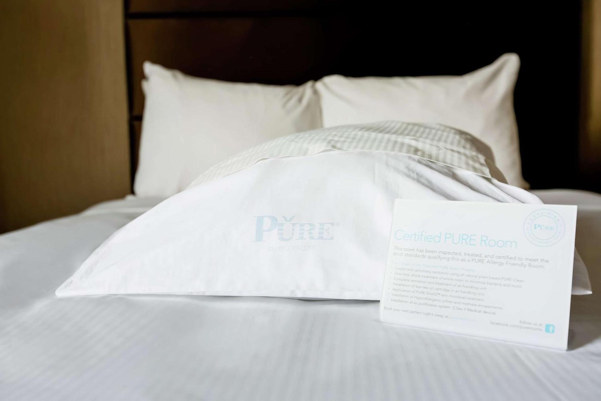 Queen Room with Two Queen Beds - Allergy Free