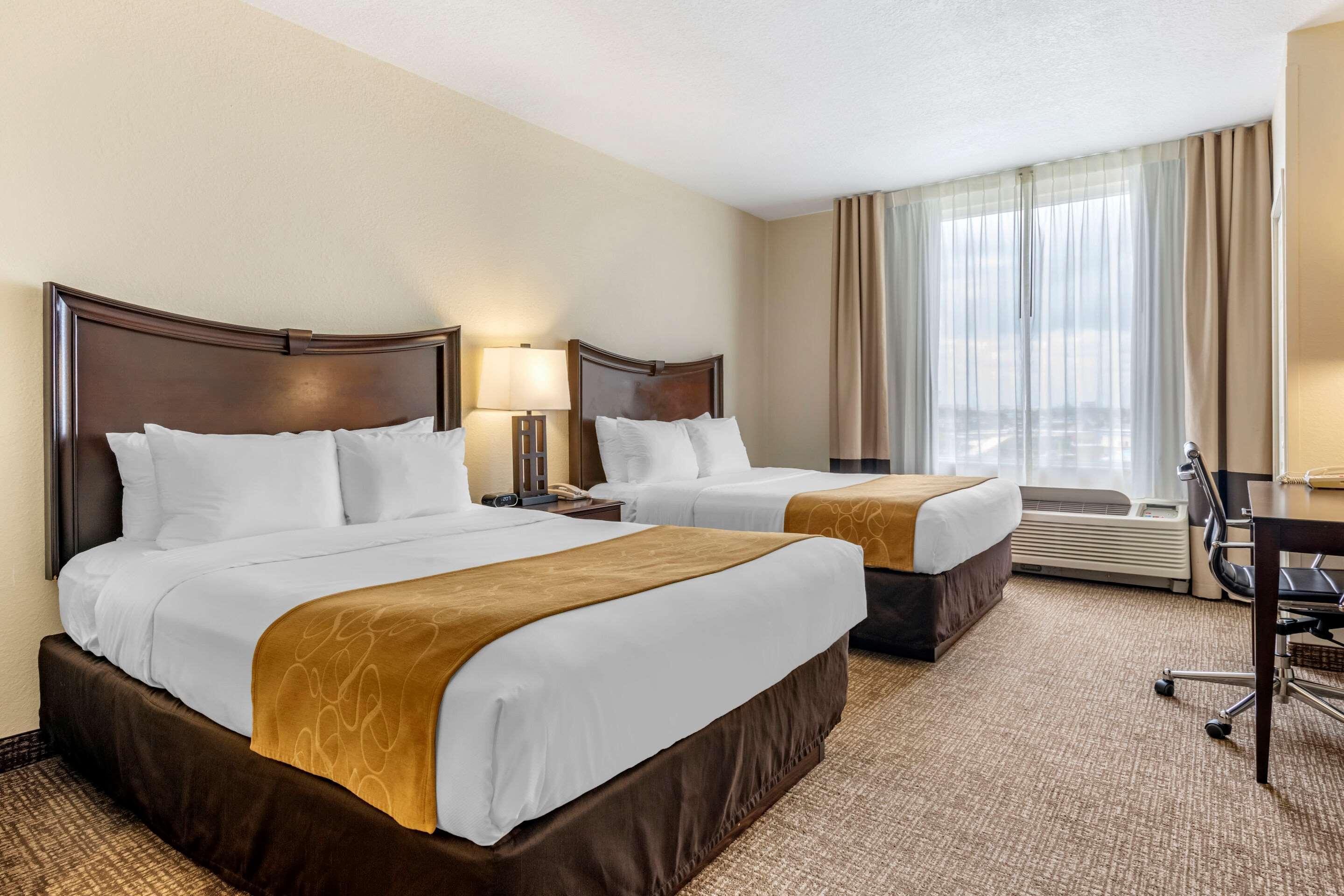 Queen Suite