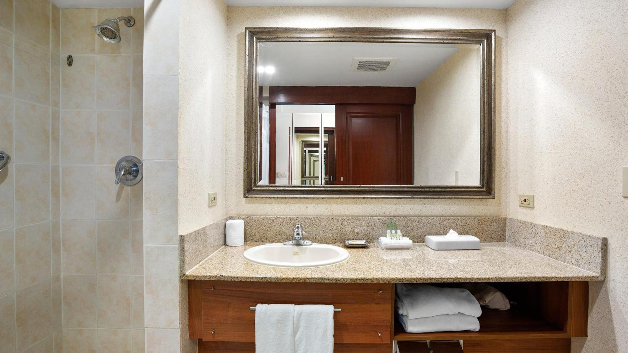 Habitación Premium con vistas a la piscina