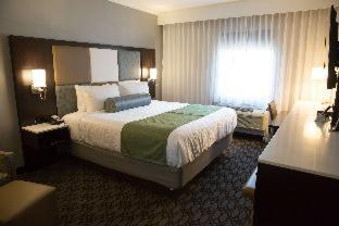 Chambre Exécutive Lit King-Size - Non-Fumeurs