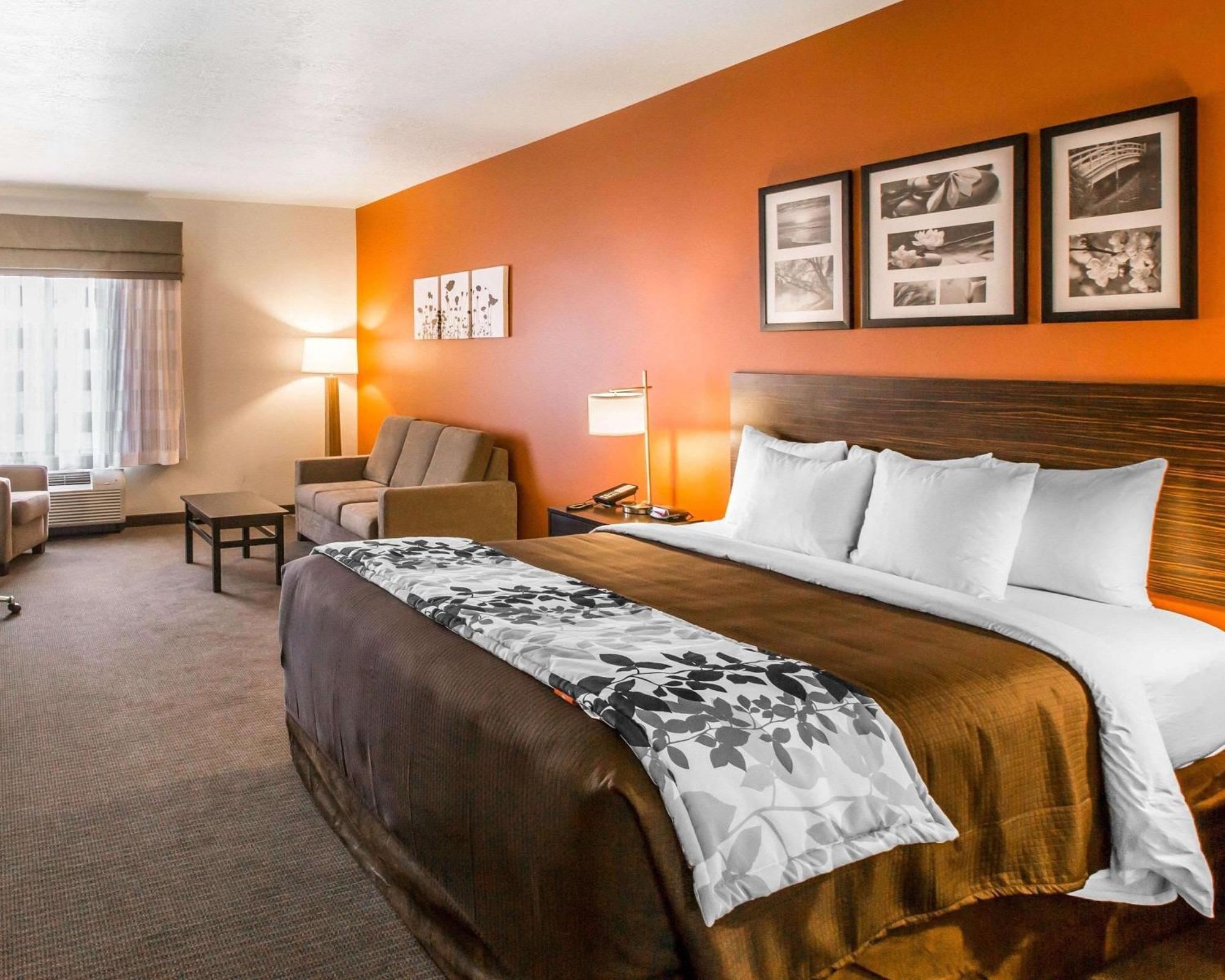 Suite Junior Lit King-Size - Non-Fumeurs