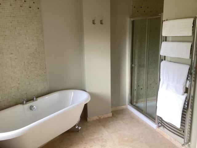 King Room Mountain View
