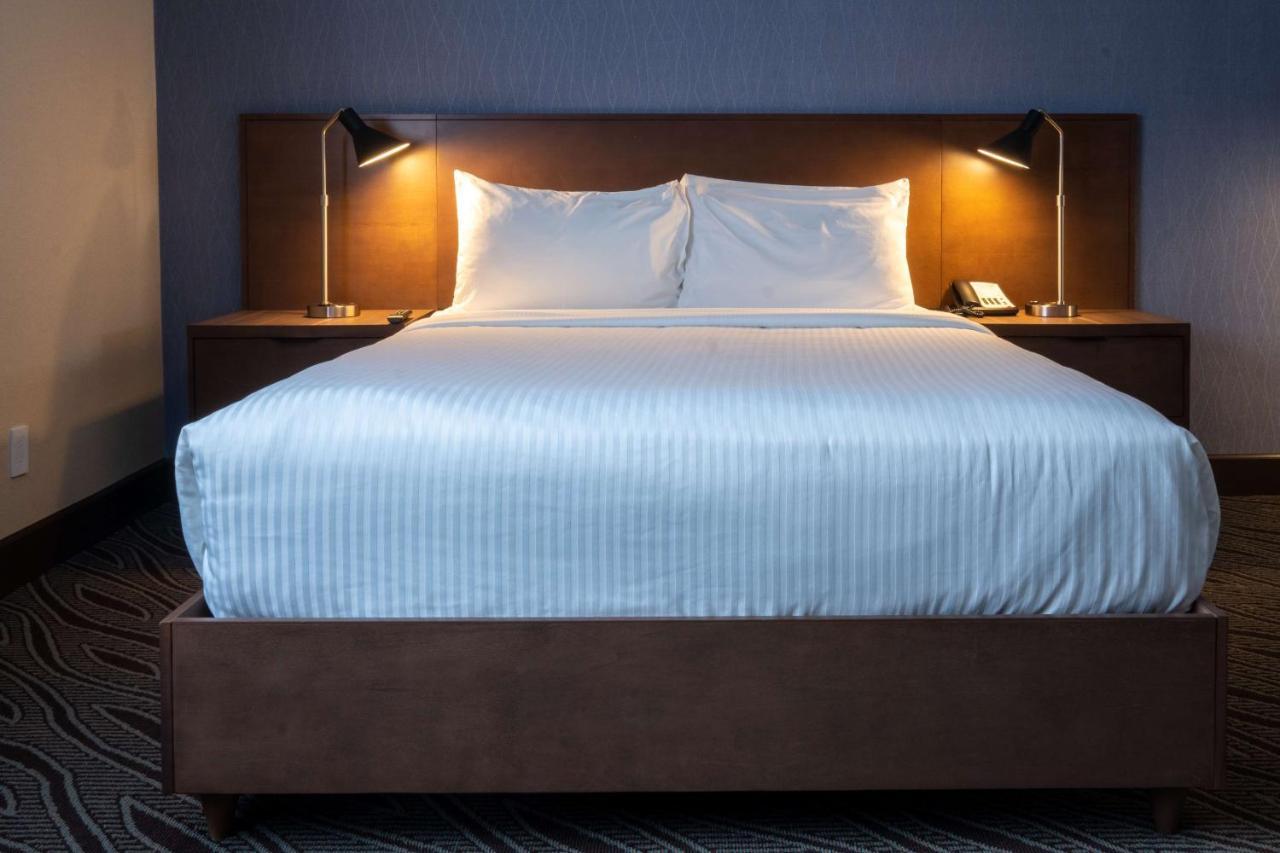 Queen Room Sofa Bed Bath Tub Disability Access