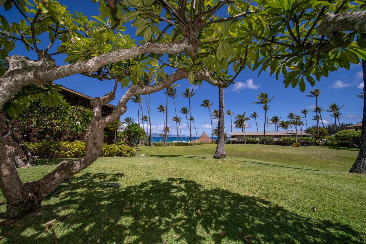 One-Bedroom Ocean View