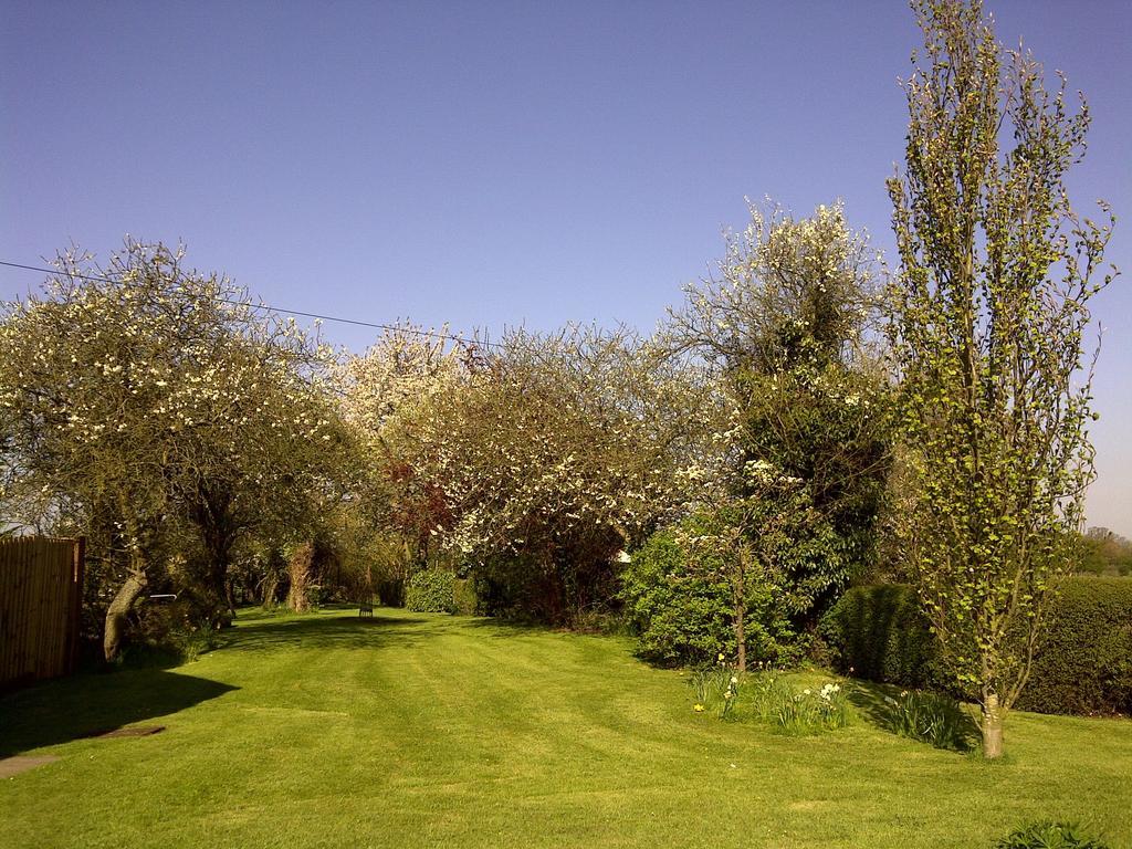 Double or Twin Room with Garden View