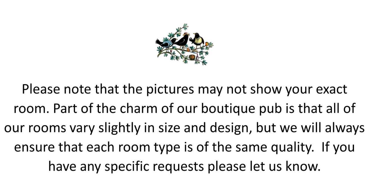 Superior Double or Twin Room,996836133:JPEG