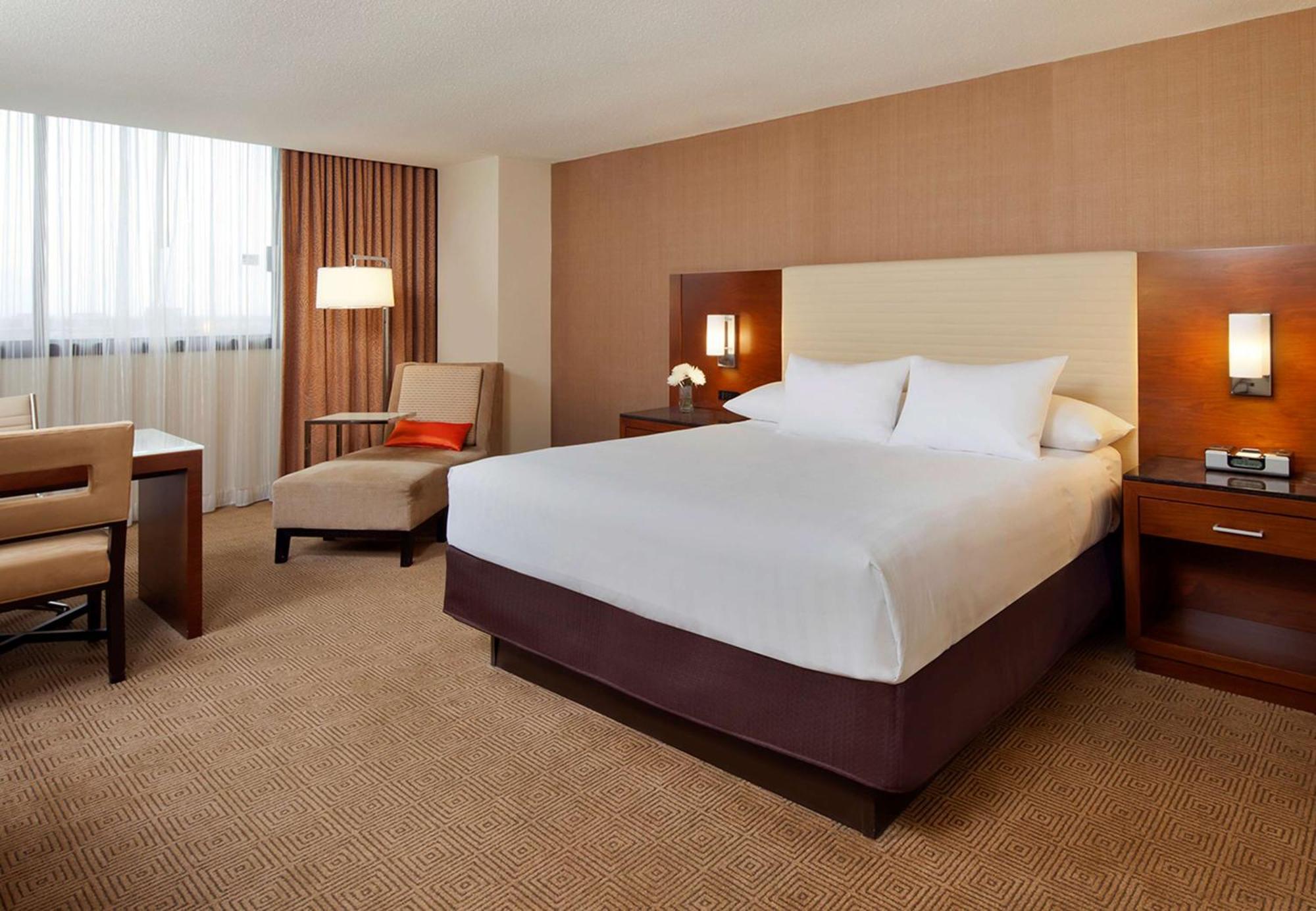 Suite Panorama con cama extragrande