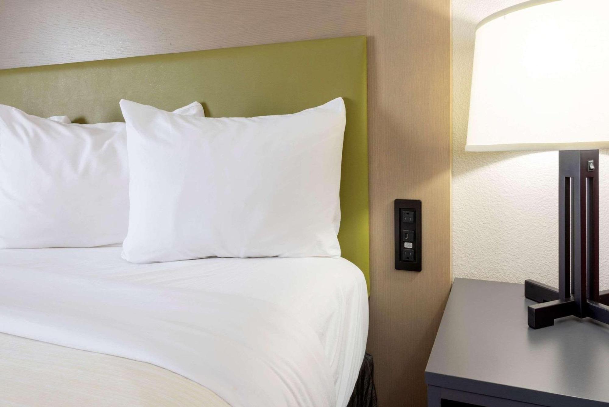 One-Bedroom King Suite