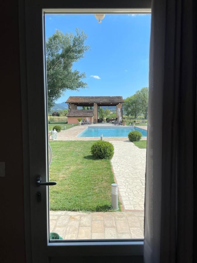 King Room Pool View