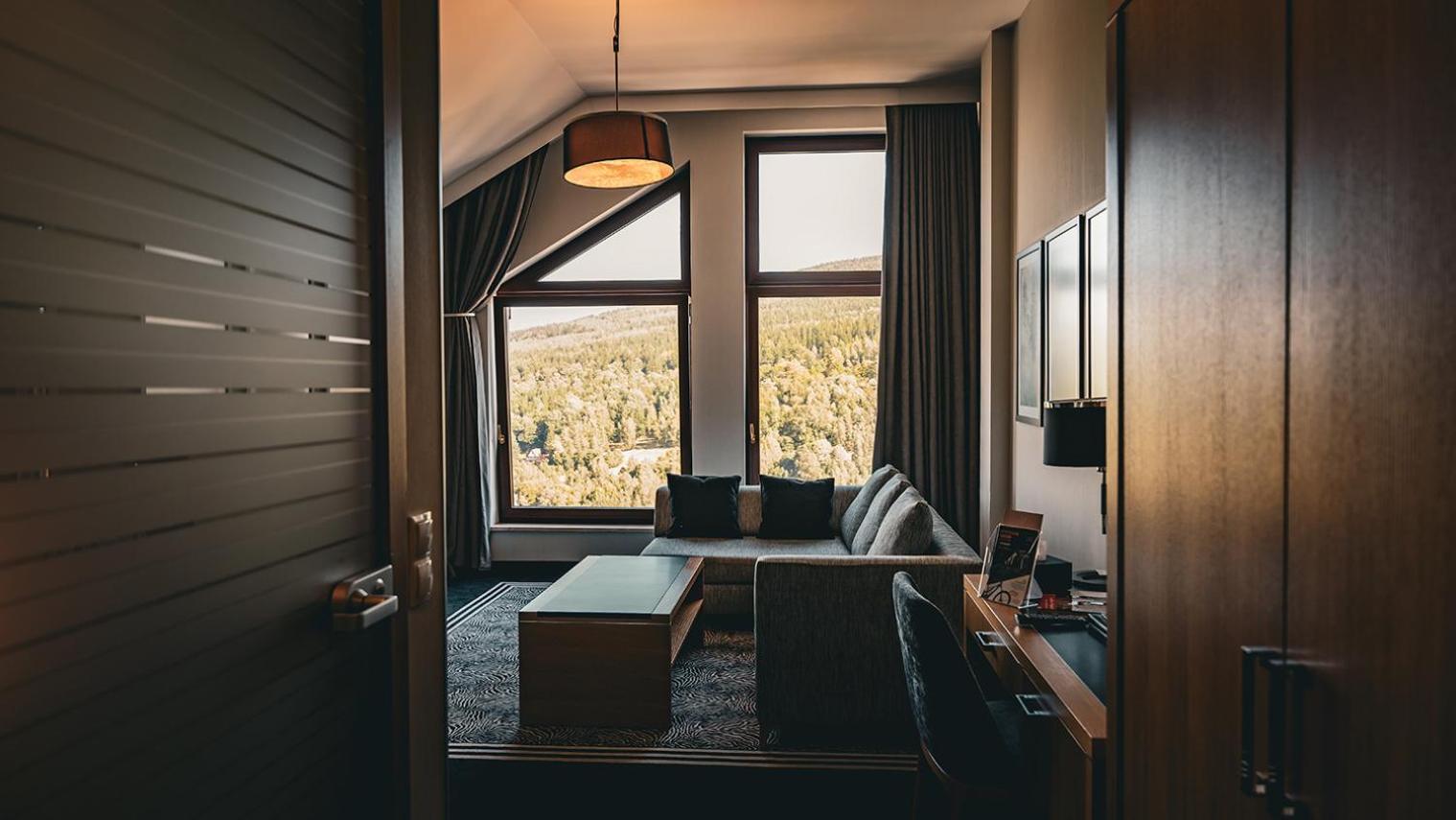 Family Room Mountain View