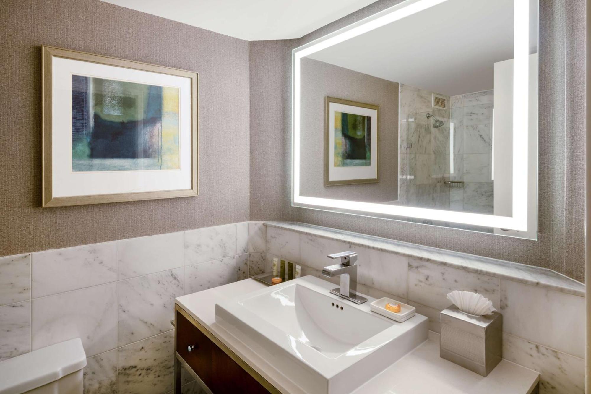 Junior King Suite with Sofa Bed