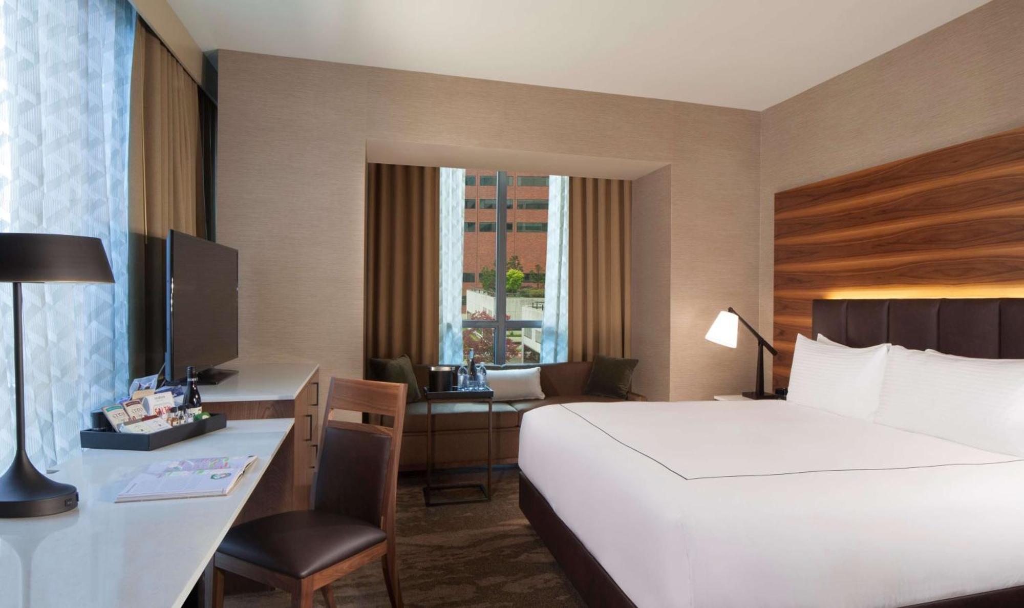 Deluxe King Suite with City View
