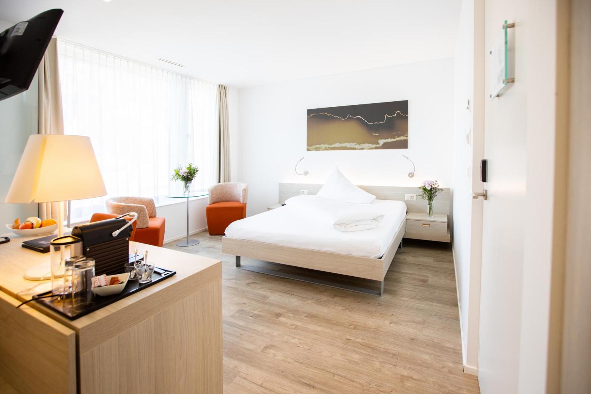 Standard Double Room Mountain View
