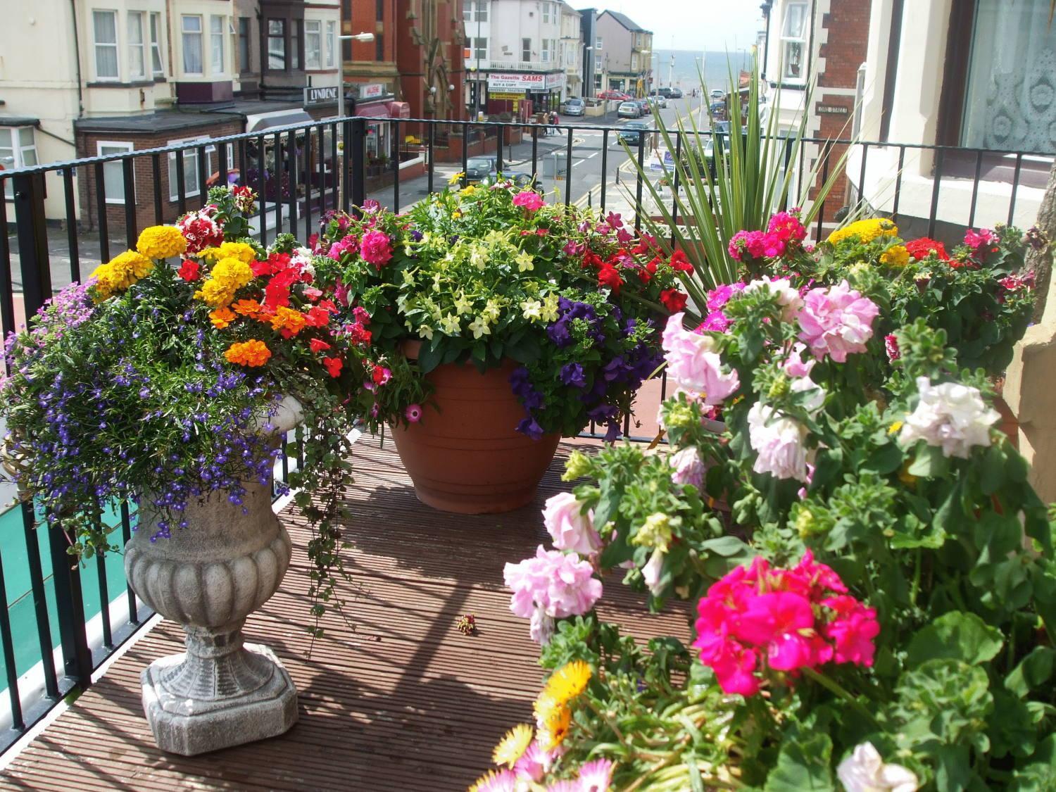Edwardian Suite Balcony