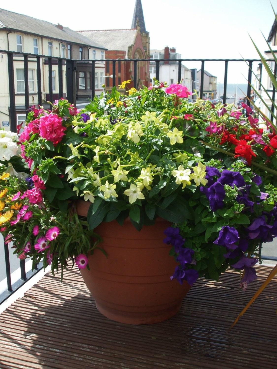 Edwardian Suite Balcony