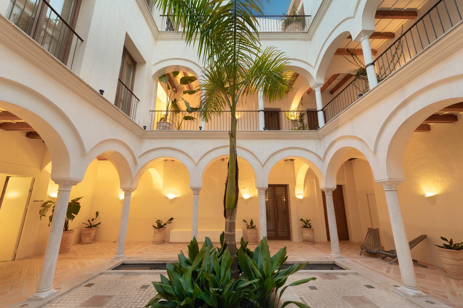 Studio Suite Planta Baja,1189410226:JPEG