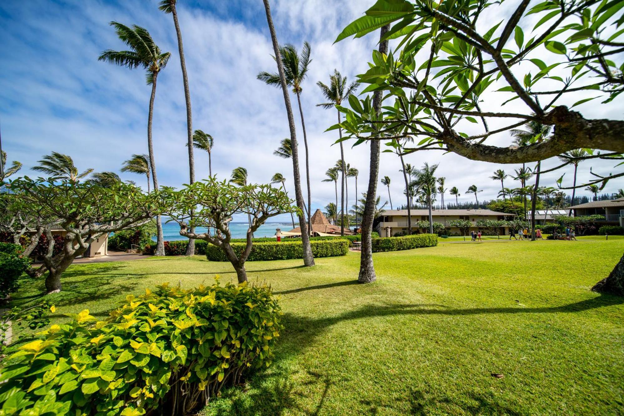 One-Bedroom Ocean View