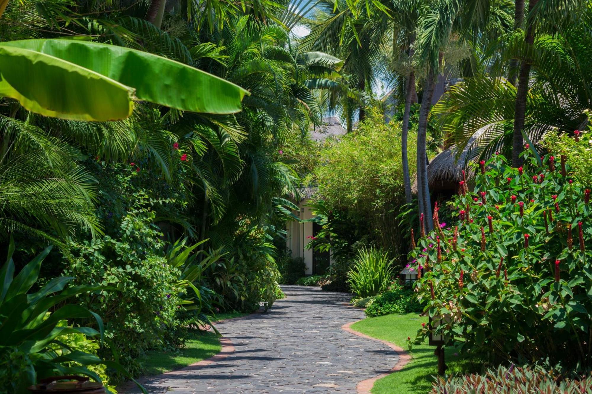 Serene Oasis Bungalow Garden View,1625484534:JPEG
