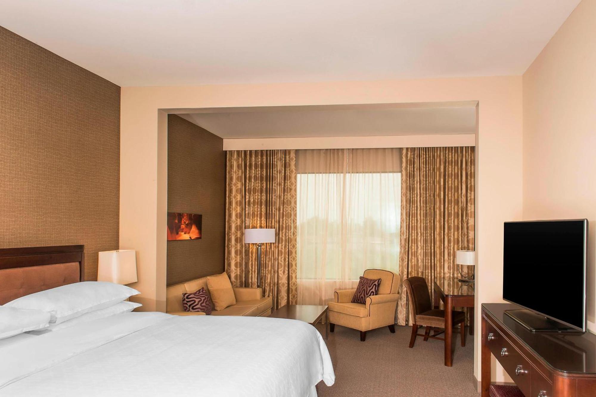 1 Bedroom Junior Suite, 1 King, Sofa bed