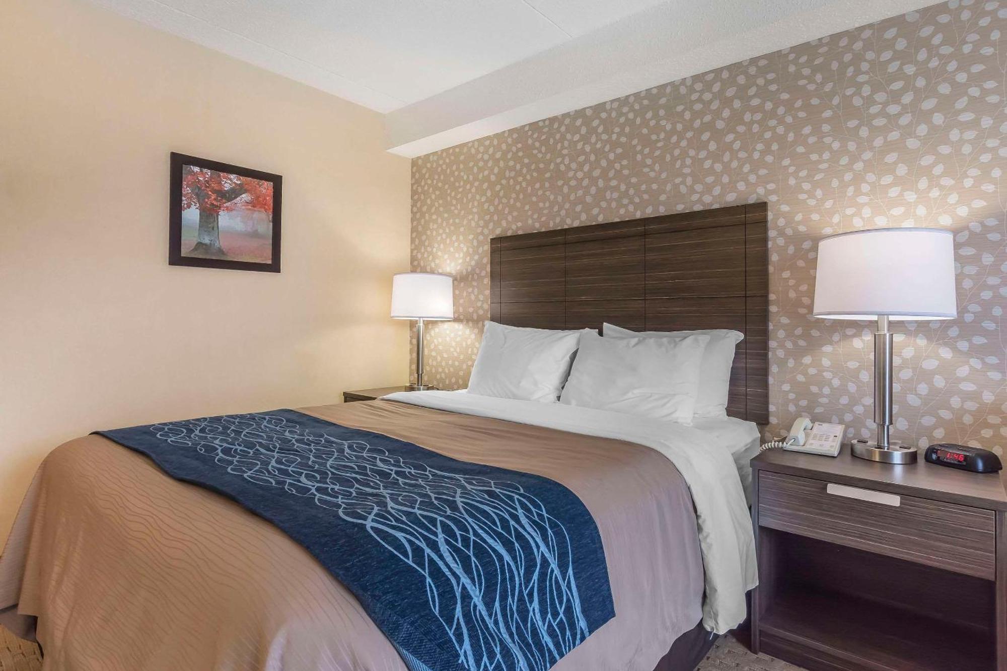 Standard Queen Room - Upper Floor