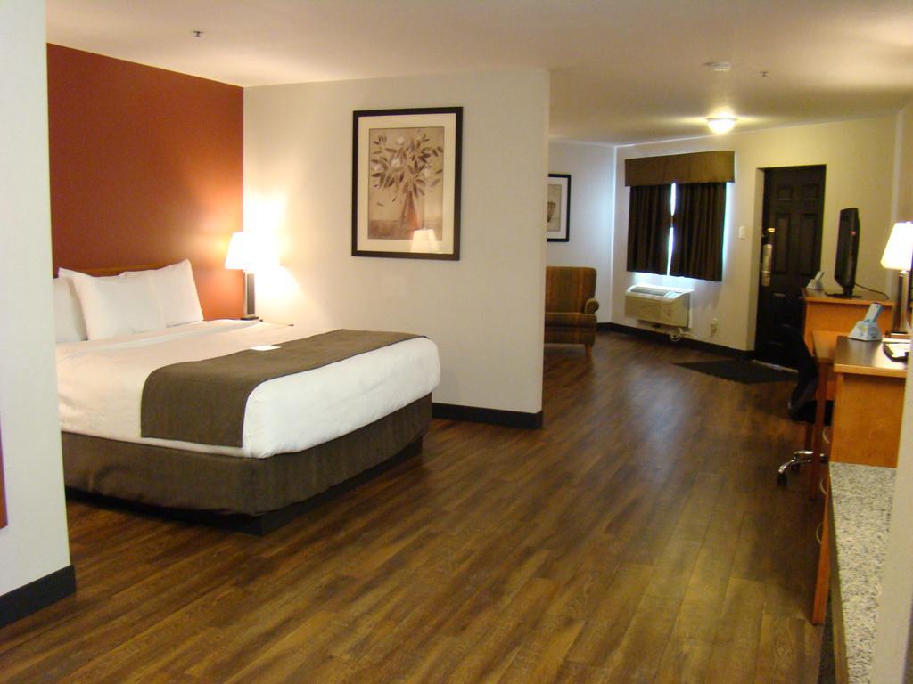 Junior King Suite - Pet Friendly