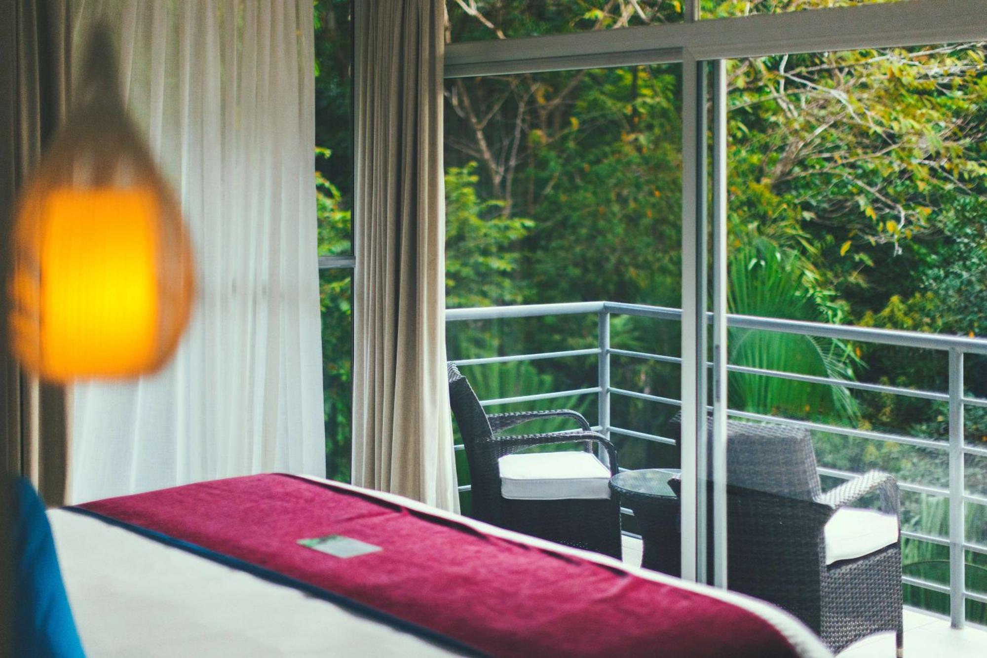 Junior Suite Forest View