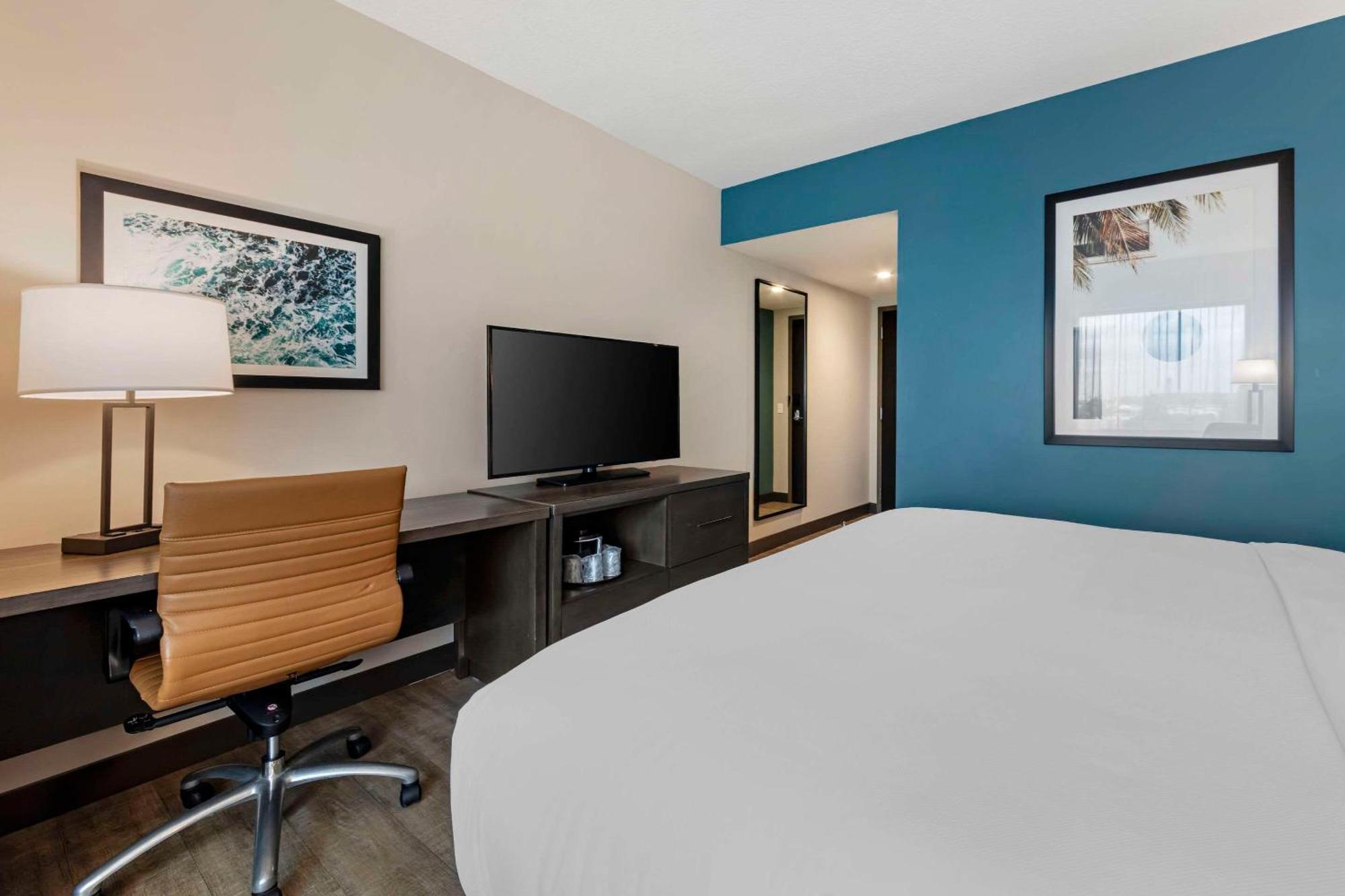 King Room - Non-Smoking