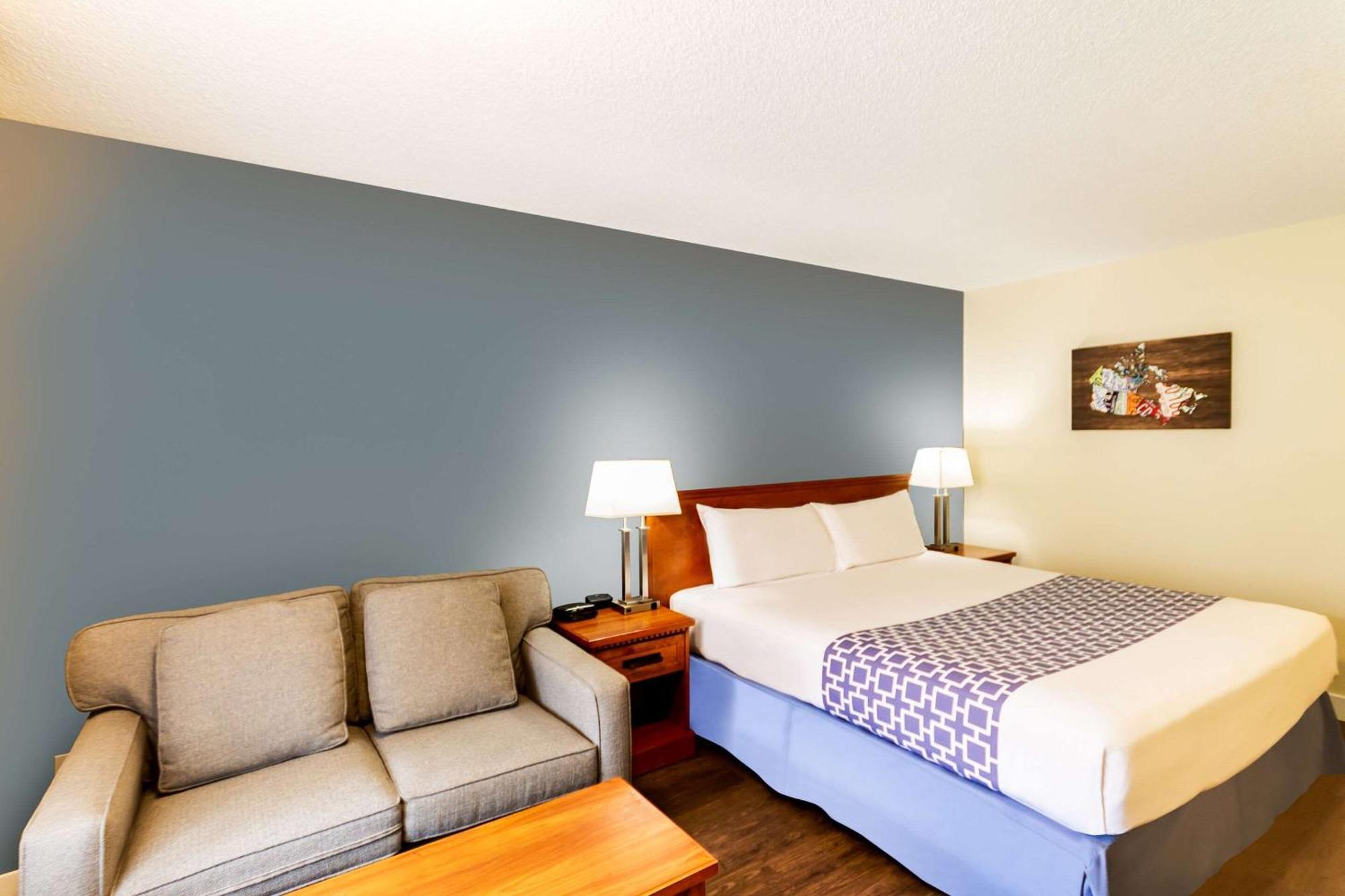 King Room Sofa Bed