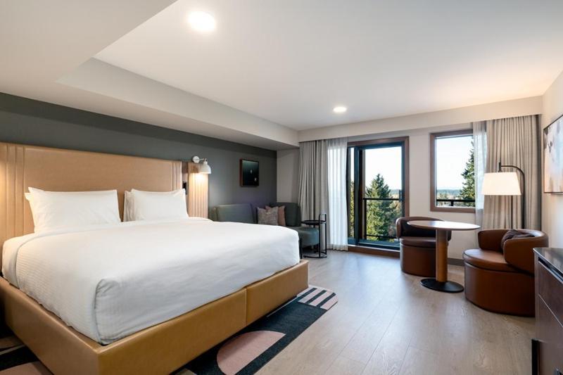 Double Room with Mountain View