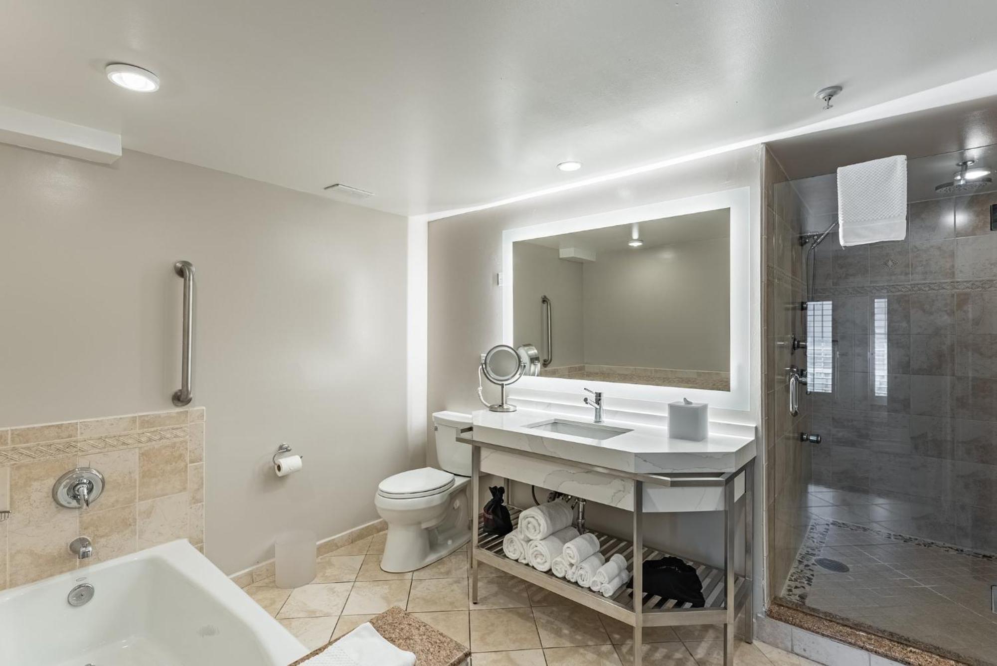 Suite con cama extragrande - No fumadores