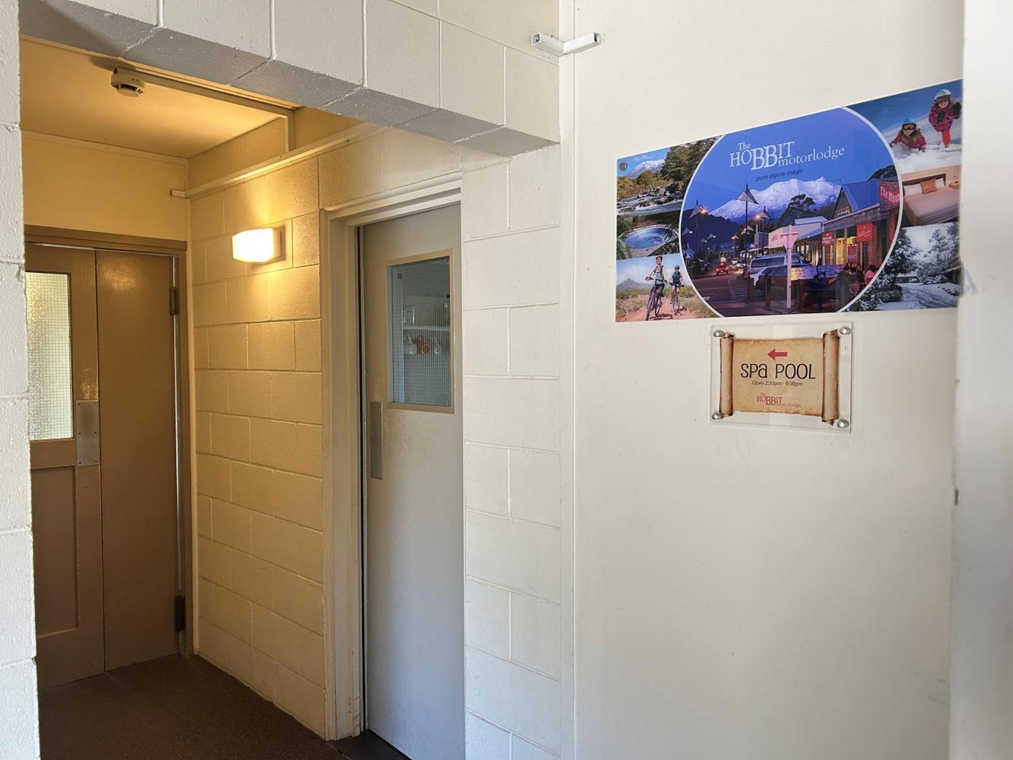 Bunk Bed Mixed Dormitory Room